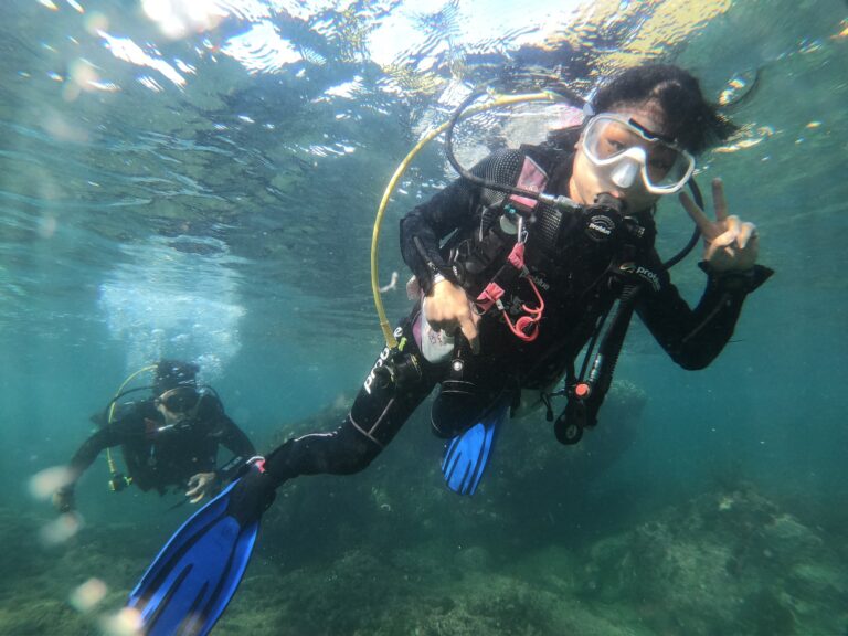 DCIM100GOPROGOPR2972