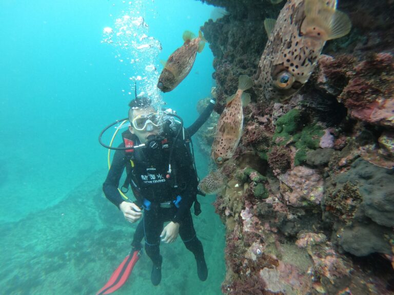 DCIM100GOPROGOPR3081