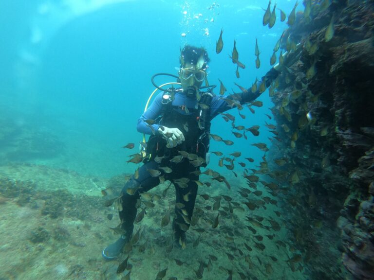 DCIM100GOPROGOPR3238